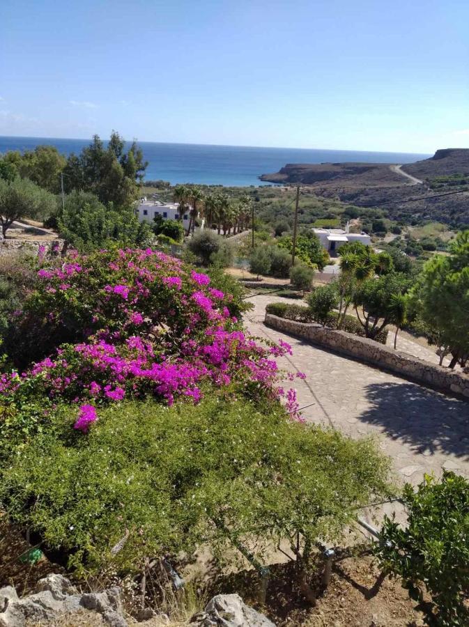 Anthia Apartment Sea View Káto Zákros 外观 照片